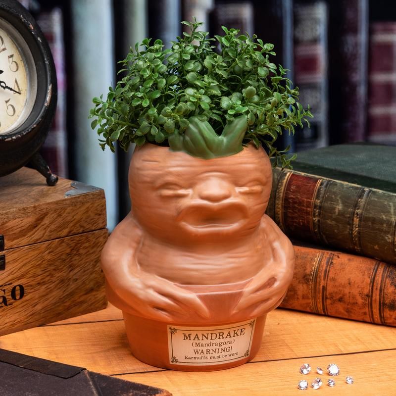 Mandrake Root Pen and Plant Pot